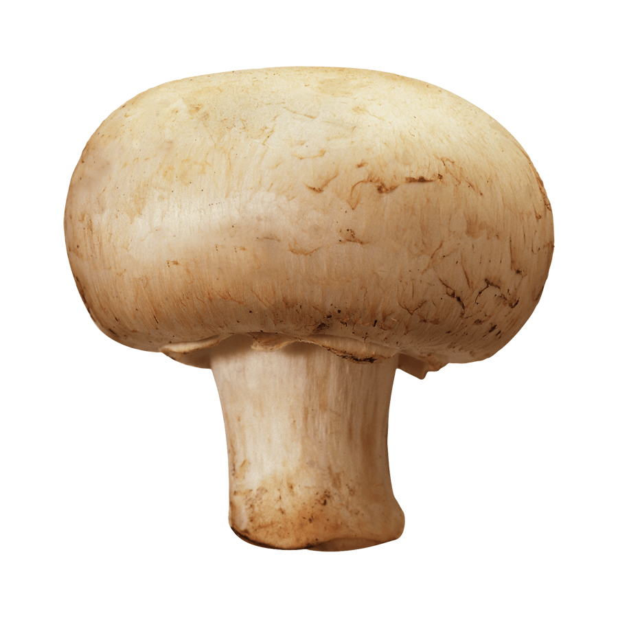 mushroom